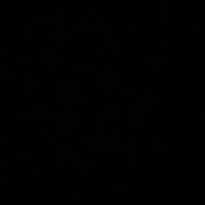 Meet your Posher, Laila